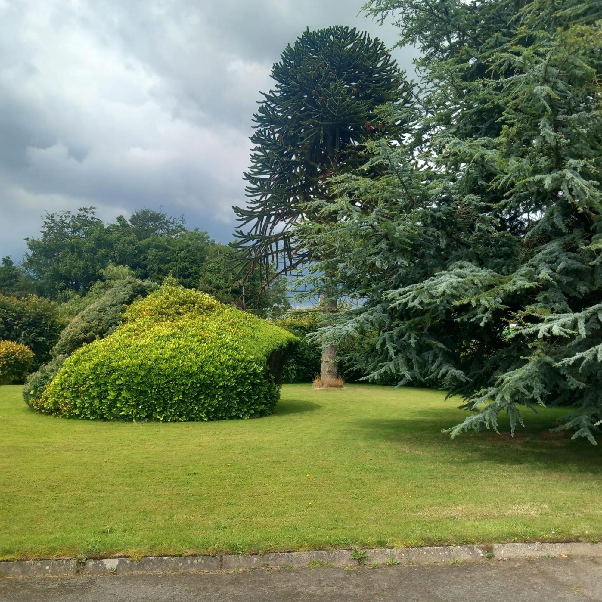 Drumgauty Cottage Strabane Εξωτερικό φωτογραφία